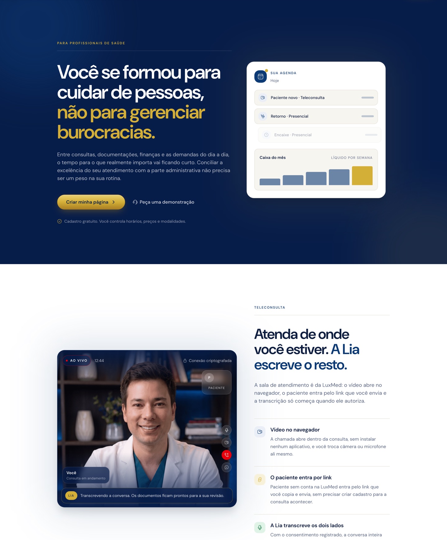 Topo da página Para profissionais, com a chamada sobre burocracia, a agenda do profissional ao lado e a sala de teleconsulta abaixo